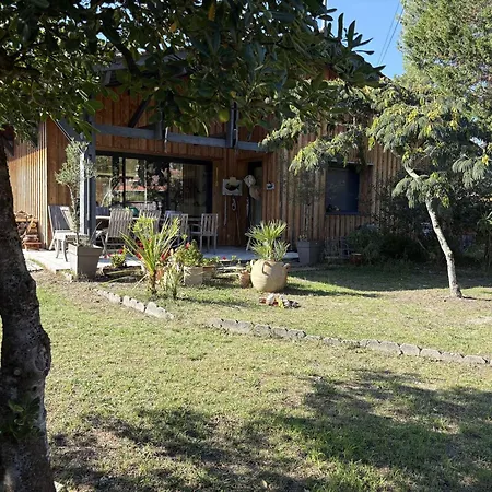 Paisible Avec Piscine Chauffee Et Climatisation A - Fr-1-736-65 * Lège-Cap-Ferret